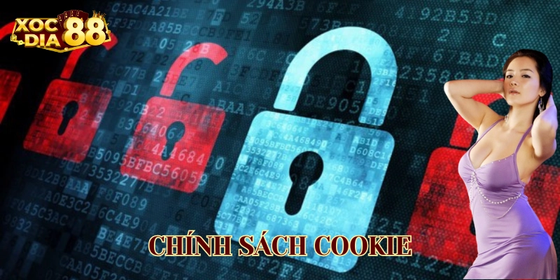 Chính sách Cookie là gì? 