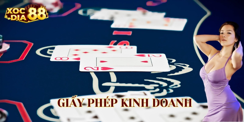 Lưu ý quan trong trong giấy phép kinh doanh